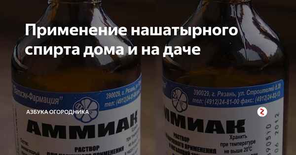Для чего стоит держать нашатырь дома? Инструкция +Видео
