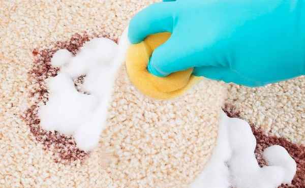 Как очистить ковер от пятен сухой чисткой? Советы +Видео