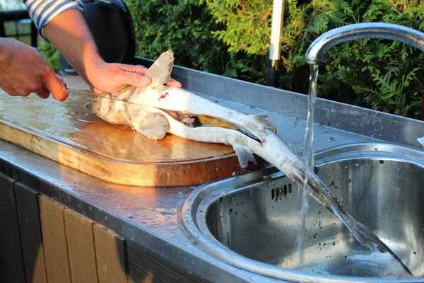 Как правильно чистить осетрину своими руками? Инструкция +Видео