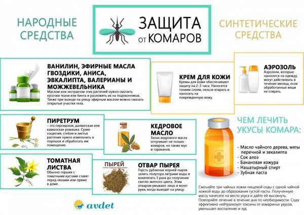 Как избавиться от комаров в домашних условиях? Советы Народными средствами