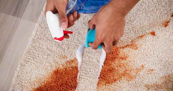 Как почистить ковер с длинным ворсом профессиональными средствами и народными рецептами в домашних условиях? Обзор