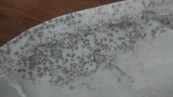 Как вывести плесень с ткани в домашних условиях: эффективные методы