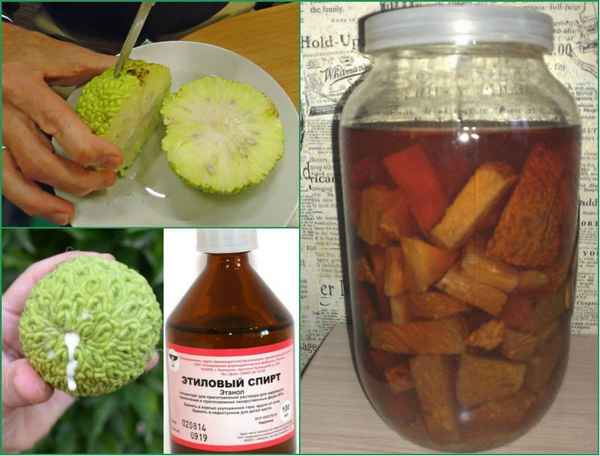 Адамово яблоко: как приготовить, как лечиться, как хранить.