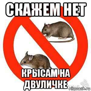  Ребята, вас крысы не беспокоят?
