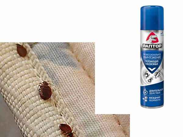 Какие формы средства «Раптор» помогают избавиться от клопов, таpaканов, блох, комаров и муравьёв