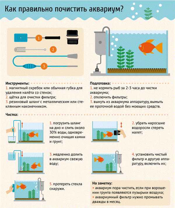 Алгоритм уборки аквариума