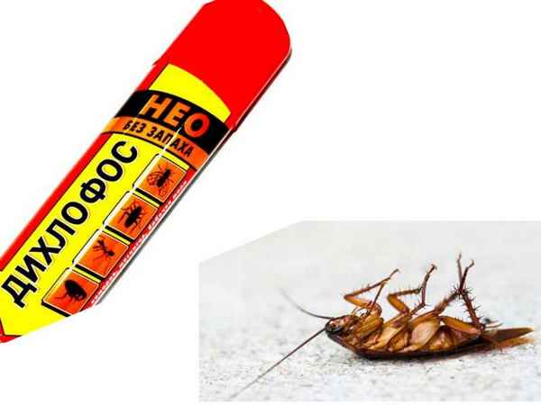 Как правильно использовать "Дихлофос " от таpaканов