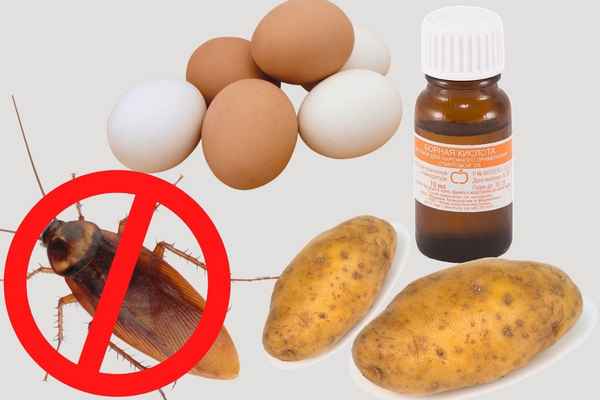 Лучшие народные средства для борьбы с таpaканами