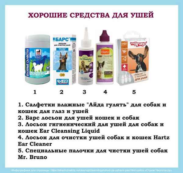 Чем можно чистить собаке уши в домашних условиях