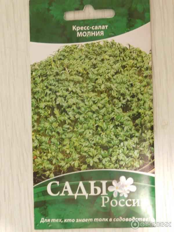 Салат Молния кресс