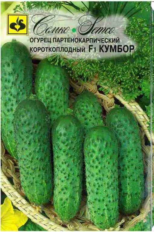 Огурцы Кумбор F1