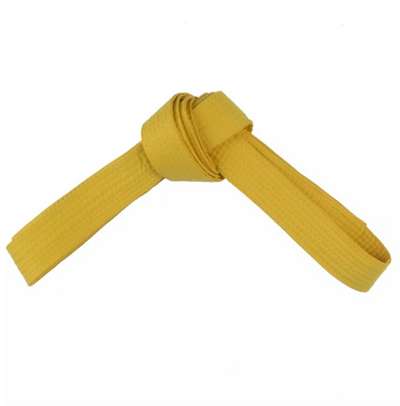 ПОЯС ДЛЯ КИМОНО 3,1 м ЖЕЛТЫЙ OUTSHOCK - купить в интернет-магазине