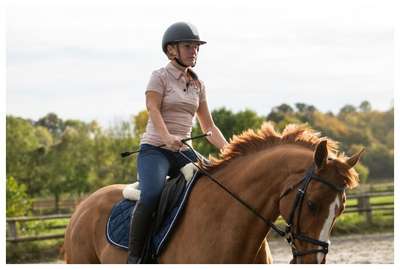 РЕПТУХ ДЛЯ СЕНА FOUGANZA FOUGANZA - Верховая езда Верховая езда - В продаже...