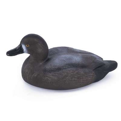 Чучело нырок селезень MANKOFF MANKOFF - купить в интернет-магазине