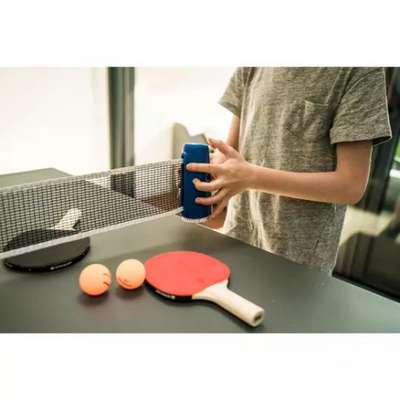 СЕТКА ДЛЯ НАСТОЛЬНОГО ТЕННИСА ROLLNET МАЛЕНЬКАЯ PONGORI - купить в интернет-магазине