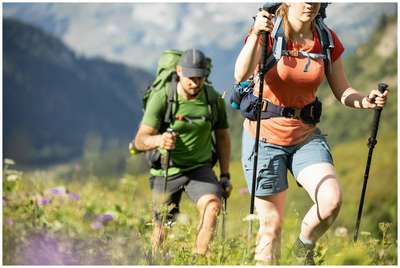 ТРЕКИНГОВАЯ ПАЛКА FORCLAZ 550 QUECHUA - Снаряжение для походов Походы - В продаже...