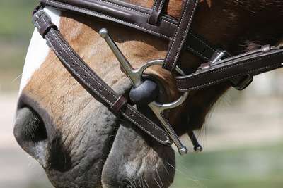 Трензель с усиками FOUGANZA - Верховая езда Верховая езда - В продаже на