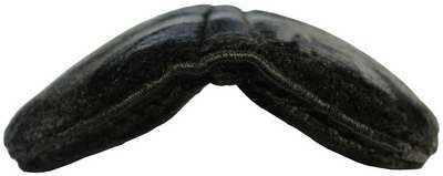 Пад для защиты холки лошади KONFORT FOUGANZA - купить в интернет-магазине