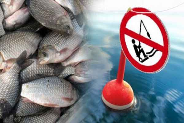Весенний запрет на рыбалку в Московском регионе — 