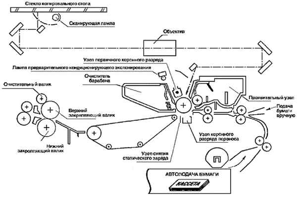 Как работает ксерокс? Принцип работы копира