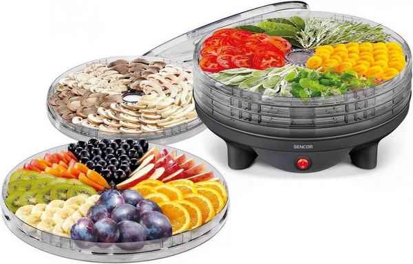 Как выбрать сушилку для овощей и фруктов? Критерии, функции