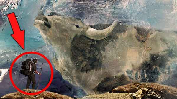 9 вымерших животных, которых хотят возродить ученые