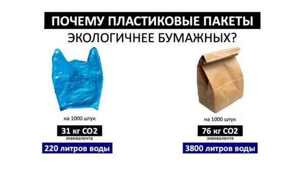 Какой пакет взять в магазине: полиэтиленовый или бумажный