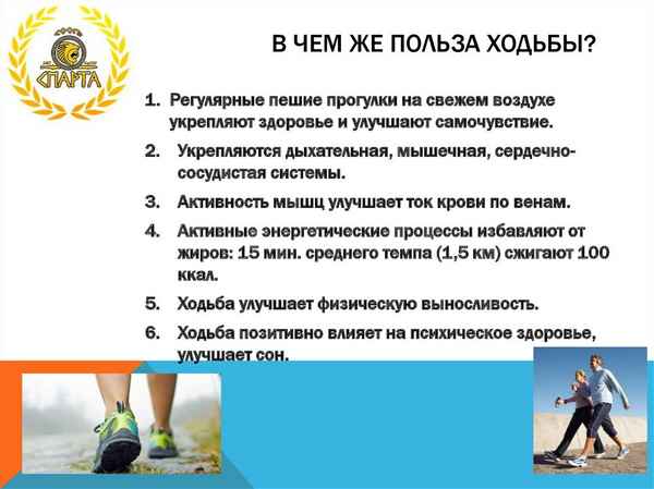 Польза прогулок на свежем воздухе: научные исследования