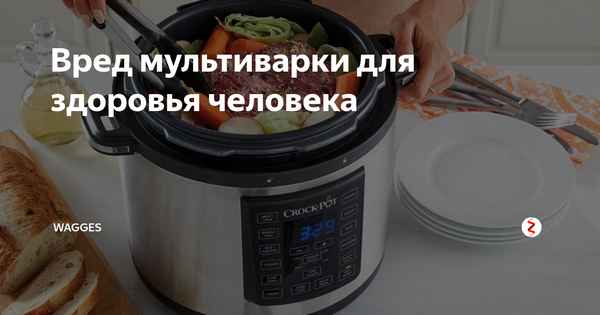 Вред мультиварки для здоровья – есть ли он на самом деле?