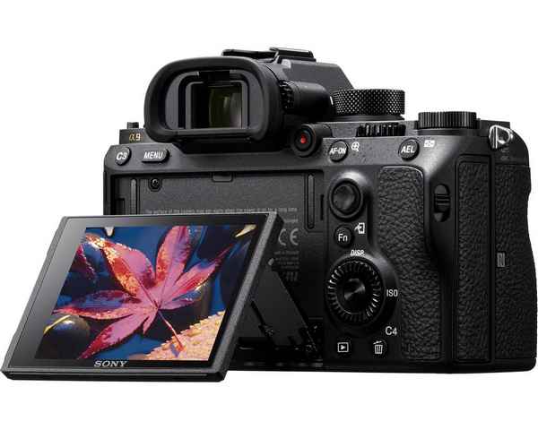 Рейтинг лучших фотоаппаратов от Sony