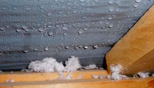 Как избавиться от влажности в доме? - Теплоизоляция, шумоизоляция, гидроизоляция