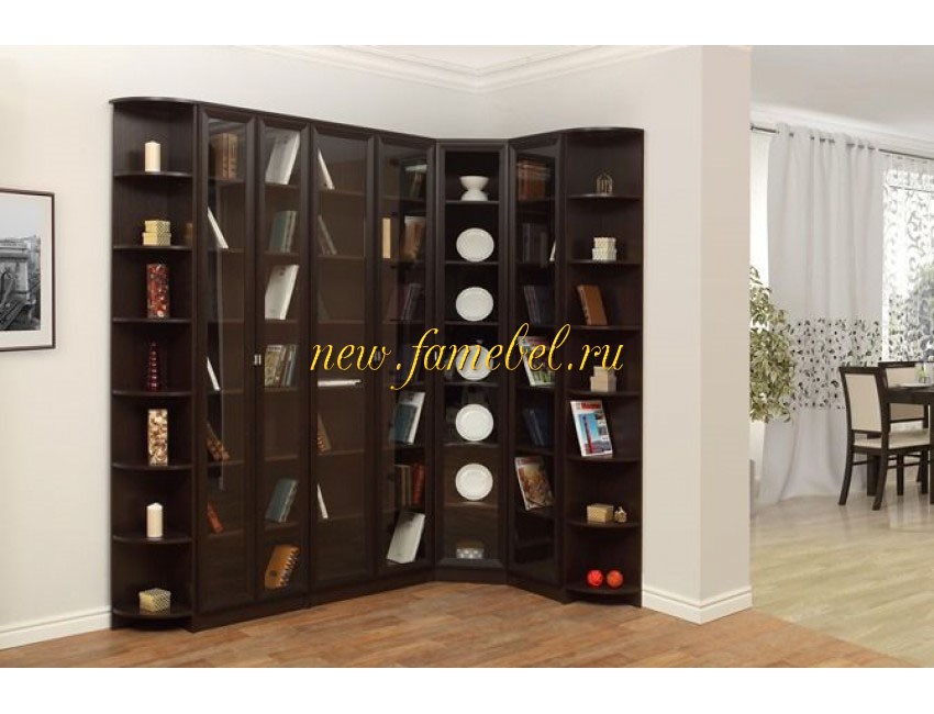 Необычные книжные шкафы: фото, обзор