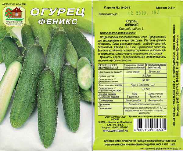 огурец феникс: отзывы огородников, фото, урожайность сорта