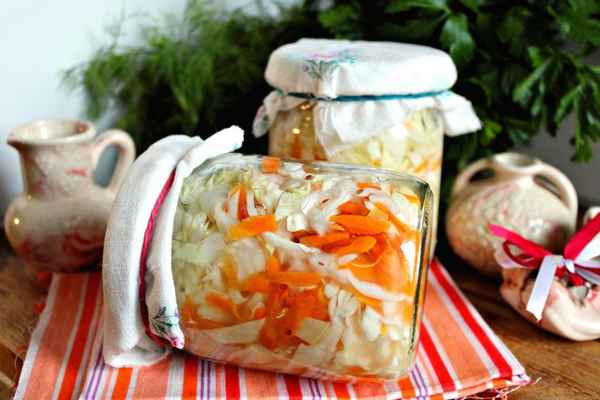 засолка капусты на зиму: очень вкусные рецепты (маринованная капуста, капуста со свеклой, капуста по-корейски в банках)