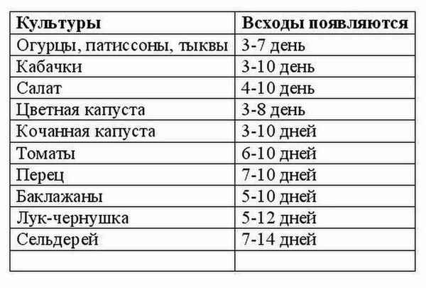 через сколько дней всходит перец после посева семян