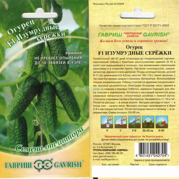 огурцы изумрудные сережки: отзывы, урожайность и описание сорта + фото