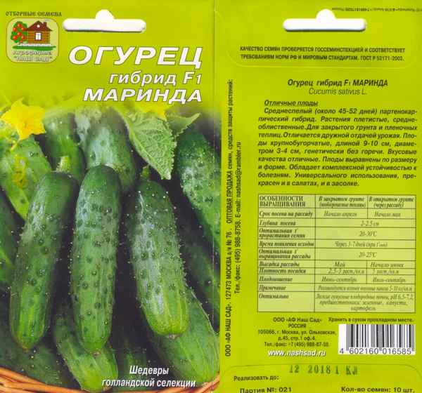 огурцы маринда: отзывы огородников, фото, хаpaктеристика и описание сорта