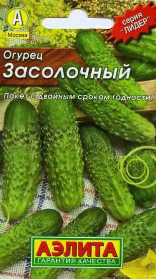 огурец засолочный: хаpaктеристика и описание сорта, отзывы + фото