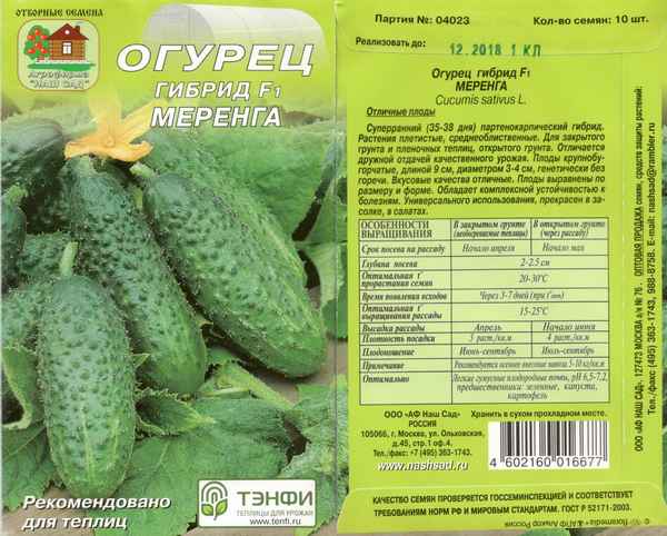 огурец меренга f1: отзывы садоводов, урожайность, описание сорта + фото