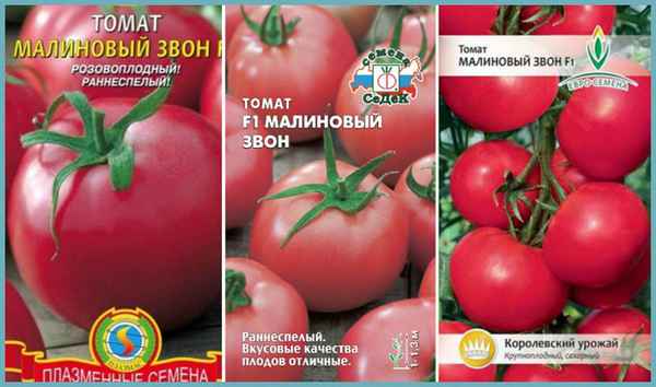 томат малиновый звон: описание, отзывы огородников, урожайность сорта, фото