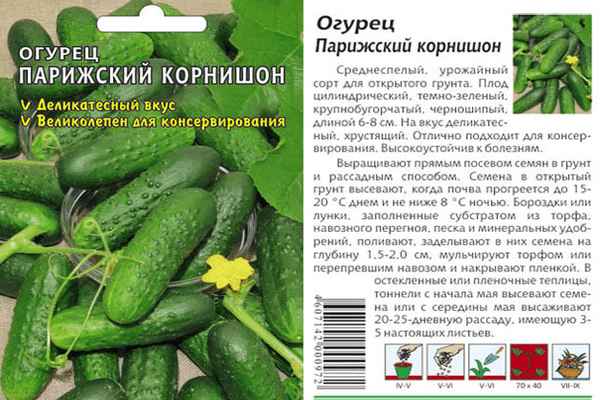 огурец парижский корнишон: хаpaктеристика и описание сорта, выращивание из семян + фото