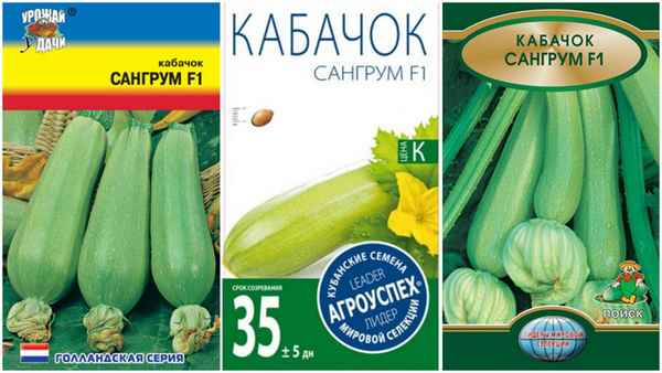 кабачок сангрум f1: описание и хаpaктеристика сорта, отзывы огородников + фото
