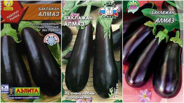 баклажан алмаз: описание сорта с фото, отзывы садоводов о выращивании в теплице