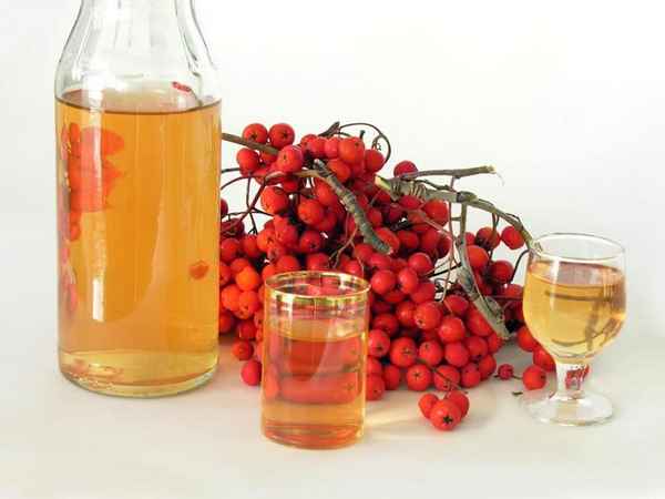 рябина красная - заготовки на зиму: рецепты приготовления сока, варенья, компота и вина + видео