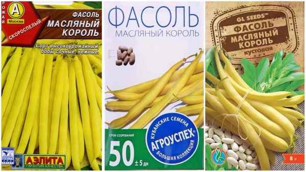 фасоль масляный король: отзывы о сорте, хаpaктеристики, урожайность + фото