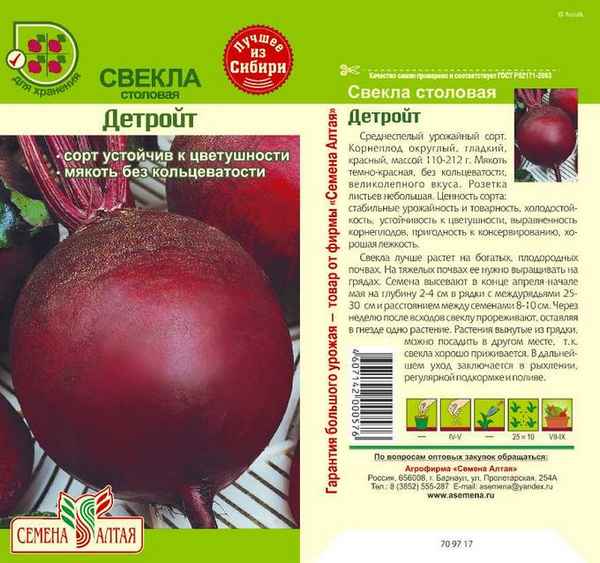 свекла детройт: описание и хаpaктеристика сорта, отзывы + фото