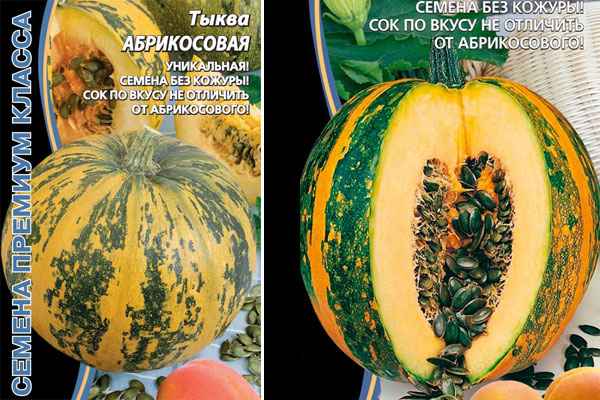 тыква голосемянная: хаpaктеристики, урожайность, описание, отзывы