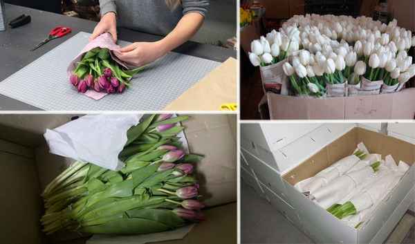 как сохранить тюльпаны в домашних условиях (срезанные)