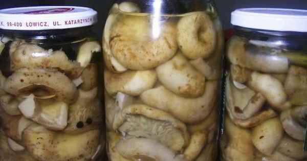 Грузди на зиму: рецепты приготовления горячим способом (маринованные, с уксусом и без) + фото