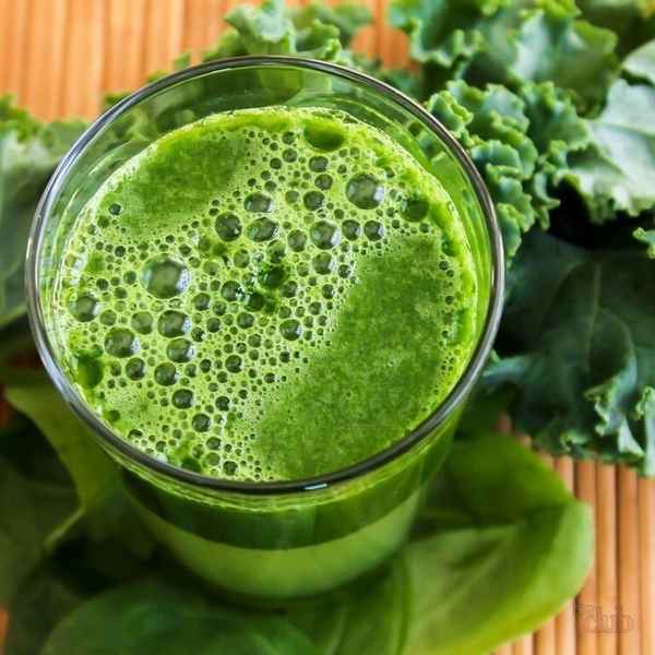 сок лопуха: лечебные свойства и противопоказания, применение, рецепты, отзывы, видео